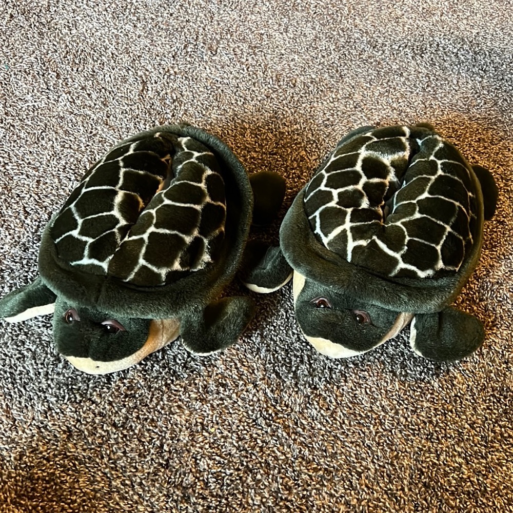 Turtle Slippers 🐢